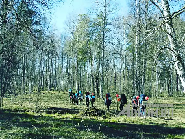 Туристская прогулка по лесу, посещение водопада Подмосковья. в Москвe, фото 3
