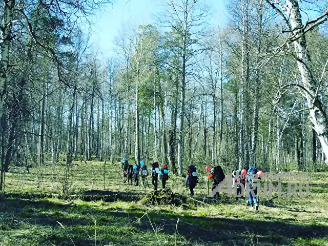 Туристская прогулка по лесу, посещение водопада Подмосковья. в Москвe