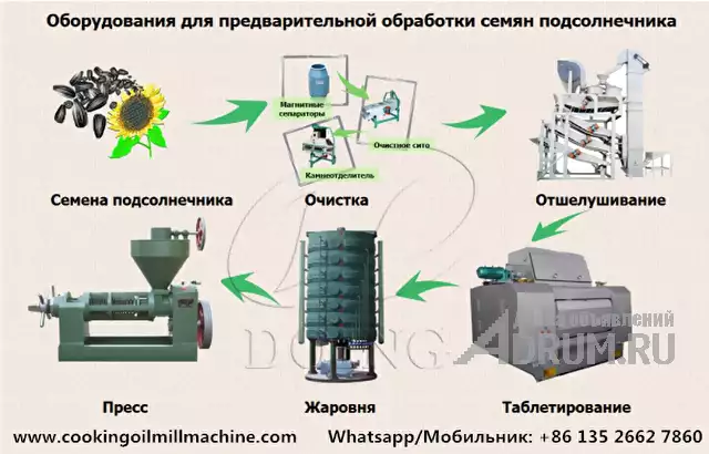 Оборудование для производства подсолнечного масла из семян подсолнечника в Москвe, фото 2