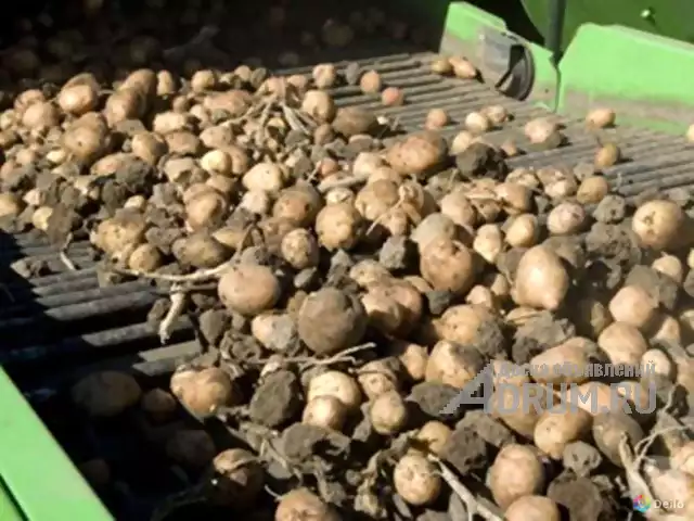 Продам сельхозпредприятие, производственная база, кфх, выращивание картофеля в Кемерово