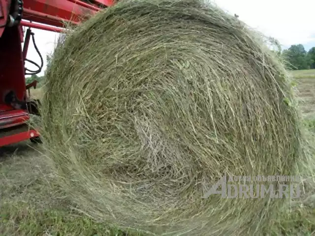 Хорошее сено в рулонах луговое пойменное, в Чебоксары, категория "Зоотовары, корма"