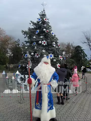 Вызов Деда Мороза и Снегурочки в Евпатория, фото 2