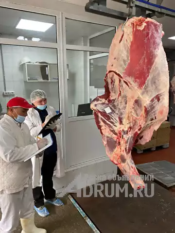Мясо Говядина, в Москвe, категория "Торговля"