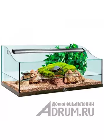 Аквариумы не дорого в магазине Seaprice, в Москвe, категория "Аквариум, рыбы"
