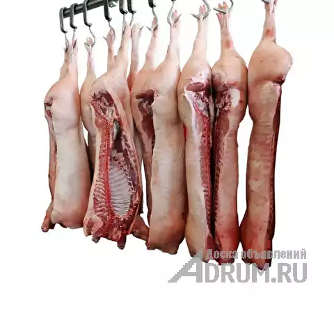Мясо свинина, говядина, цыпленка бройлера собственного производства в Смоленске, фото 2