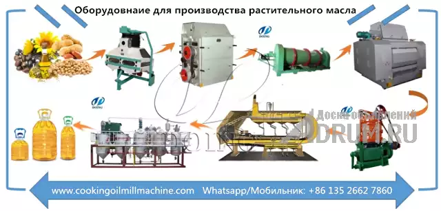 Как запустить завод по производству подсолнечного масла в России в Москвe, фото 2