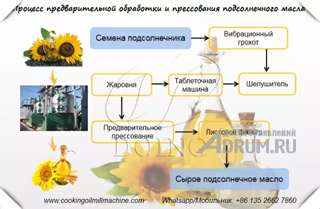 Как запустить завод по производству подсолнечного масла в России, Москва