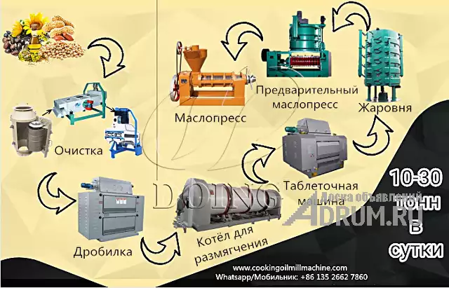 Какое оборудование надо купить для производства льняного масла 10 т/сут? в Москвe