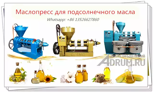 Оборудование для прессования кукурузного масла в Санкт-Петербургe, фото 2