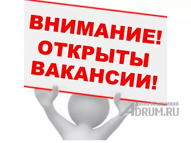 В онлайн-проект требуется администратор, Вишневогорск