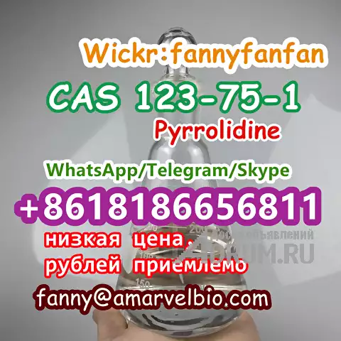 WhatsApp +8618186656811 CAS 123-75-1 Pyrrolidine, Москва