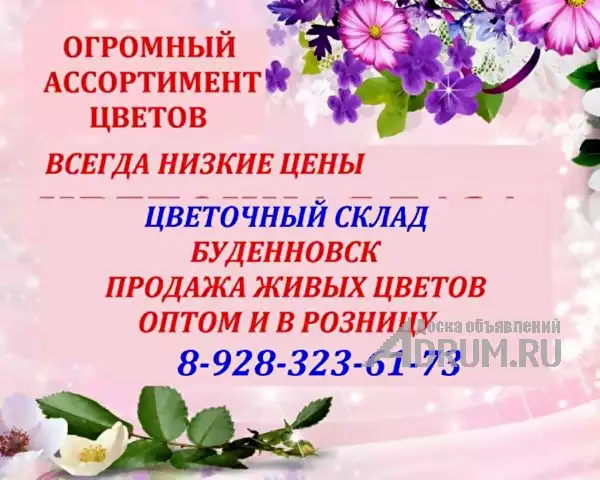 Цветочный склад, опт-розница, низкие цены Буденновск в Будённовске