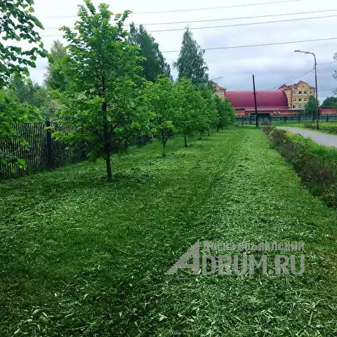 Покос травы триммером по низкой цене за сотку Тюмень., в Тюмень, категория "Сад, благоустройство"