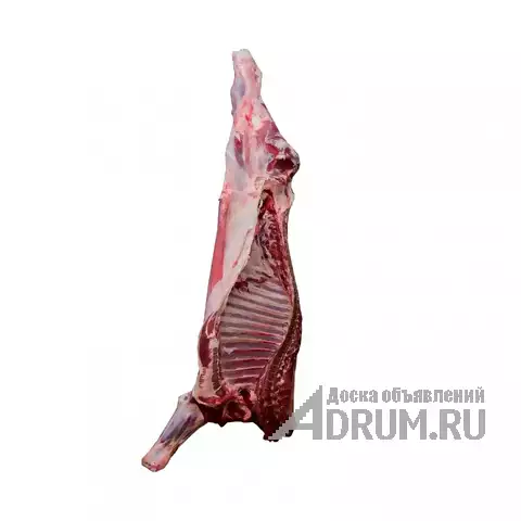 Мясо птицы, свинина, баранина, говядина в Москвe, фото 4
