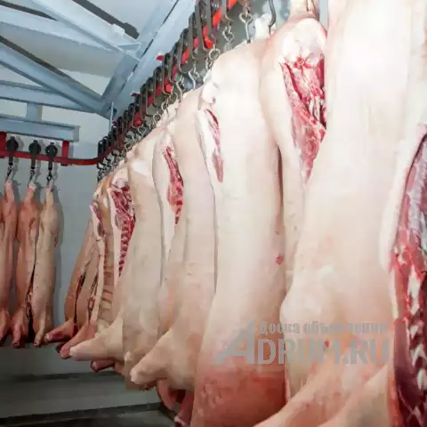 Производство и оптовые продажи мяса в ассортименте в Москвe, фото 3