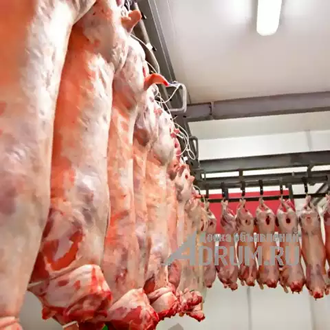 Производство и оптовые продажи мяса в ассортименте, Москва