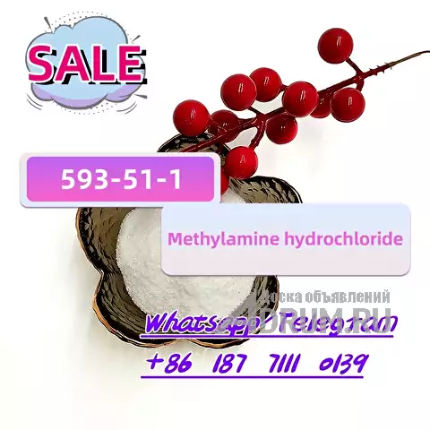 cas 593-51-1 Methylamine hydrochloride в Москвe, фото 4