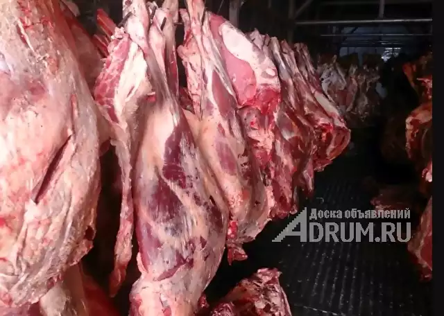 Мясо-говядина порода СИММЕНТАЛЬСКАЯ в полутушах, Югорск