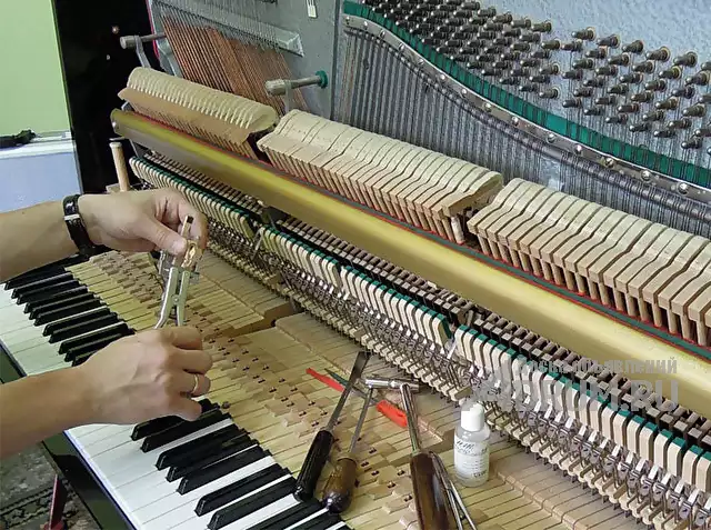 Настройка пианино и роялей в Томске, Томск