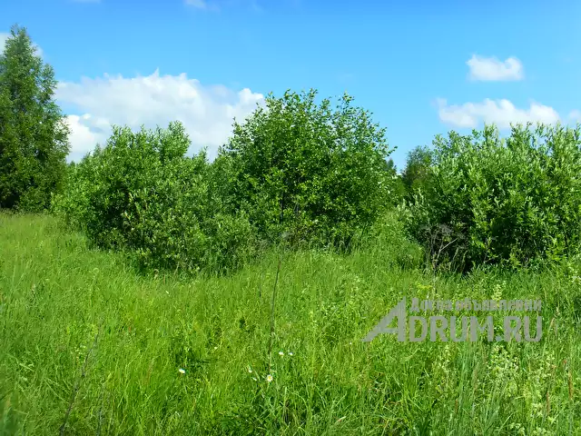 Земельный участок 0, 40 га в деревне Моншино Калязинского района Тверской области в Калязине