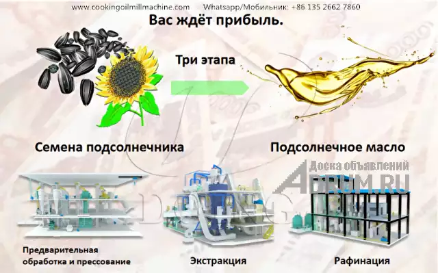 Полная линия по производству подсолнечного масла с заводской ценой в Москвe
