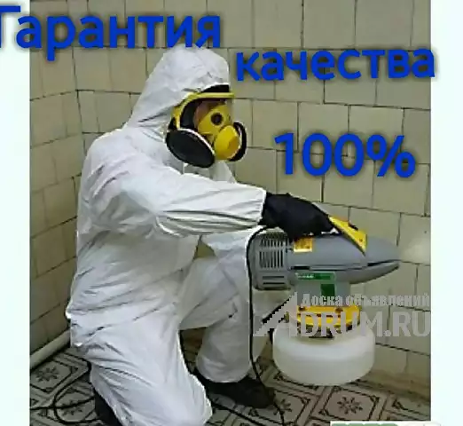 Уничтожение насекомых в Москве и Московской области в Москвe