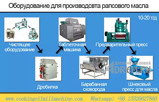 Какое оборудование надо купить для производства рапсового масла из семян рапса?, Москва