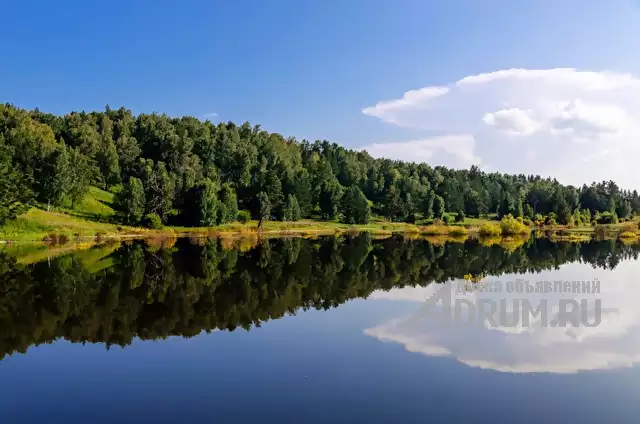 Земельный участок с озером и лесом в Красноярске, фото 20