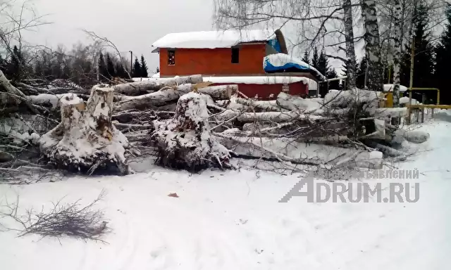 Спил деревьев, корчевка пней в Новосибирске