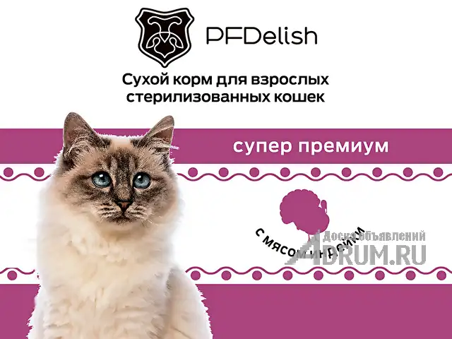 Холистик корма для собак и кошек ТМ PFDelish в Калуге, фото 2