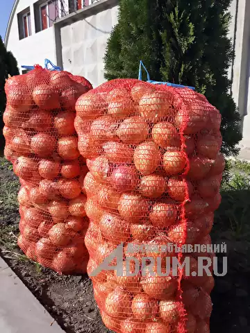Сетка овощная 50х80, производство Россия в Волжском, фото 2