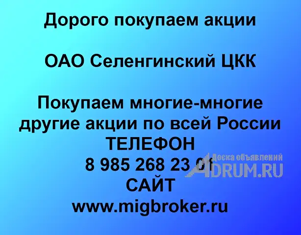 Покупаем акции «Селенгинский ЦКК» по высоким ценам!, Улан-Удэ