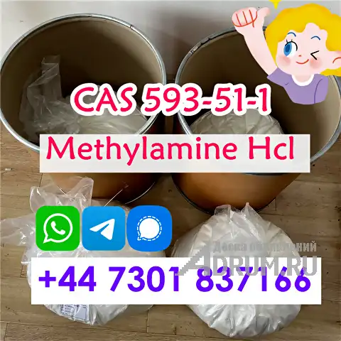 High-Quality Methylamine HCL CAS 593-51-1 CDEK 20 Days Arrive Russia в Санкт-Петербургe, фото 2