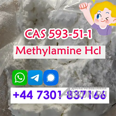 High-Quality Methylamine HCL CAS 593-51-1 CDEK 20 Days Arrive Russia в Санкт-Петербургe