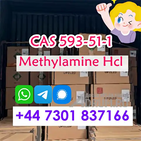 High-Quality Methylamine HCL CAS 593-51-1 CDEK 20 Days Arrive Russia в Санкт-Петербургe, фото 3