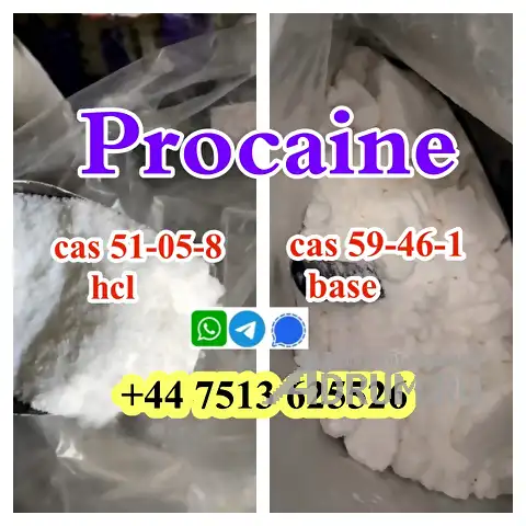 cas 59-46-1 Procaine base powder Procaine Hcl safe ship to Holland Poland в Москвe, фото 4