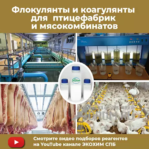 Флокулянты коагулянты для очистных сооружений птицефабрик в Санкт-Петербургe