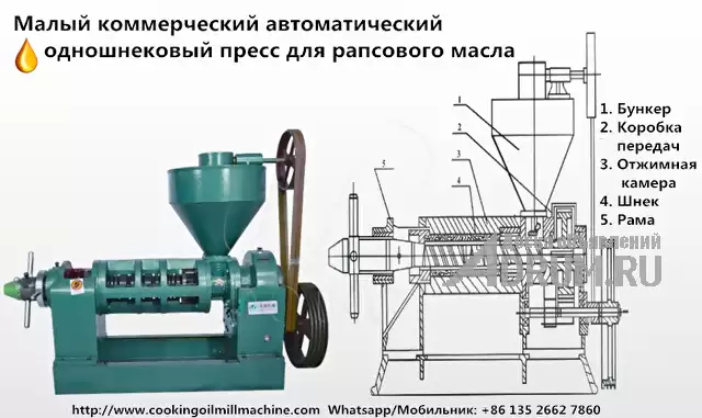 Одновинтовой маслопресс для производства пищевого масло в Москвe, фото 3