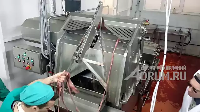 Машина для обработки черевы КРС ООК - MCB малой производительности, в Москвe, категория "Промышленное"