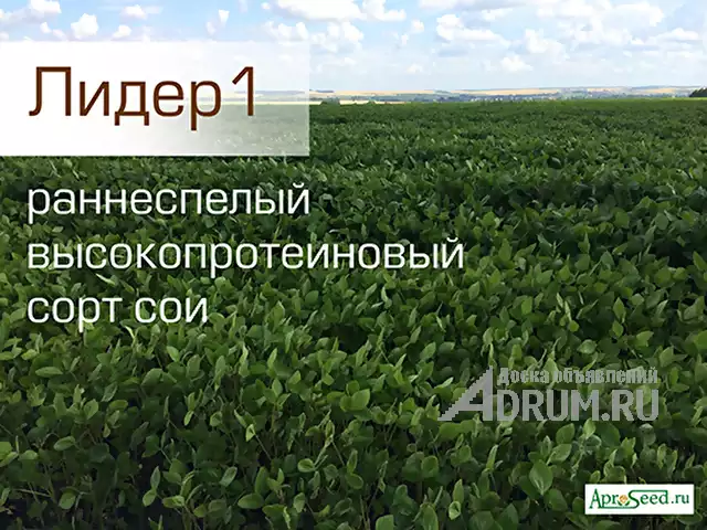 Семена сои сорт Лидер1 РС1 в Белгород