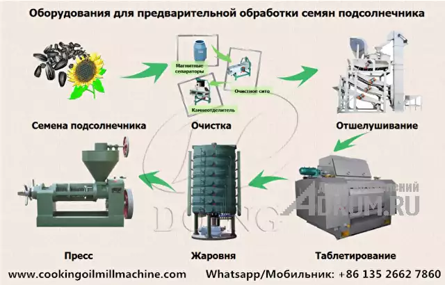 Оборудование для производства подсолнечного масла с заводской ценой в Москвe, фото 2