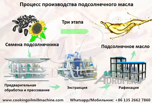 Оборудование для производства подсолнечного масла с заводской ценой, в Москвe, категория "Оборудование, производство"