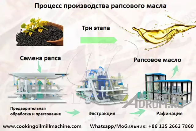 Полная линия по производству рапсового масла из производителя в Китае в Москвe