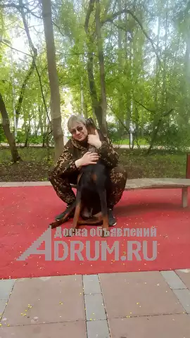 Кинолог: профессиональная дрессировка собак в Москвe, фото 6