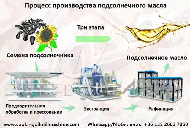 Полная линия по производству подсолнечного масла с заводской ценой, Санкт-Петербург