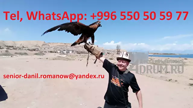 Travel in Kyrgyzstan, tourism, excursions, guide, hiking in mountains, driver в Москвe