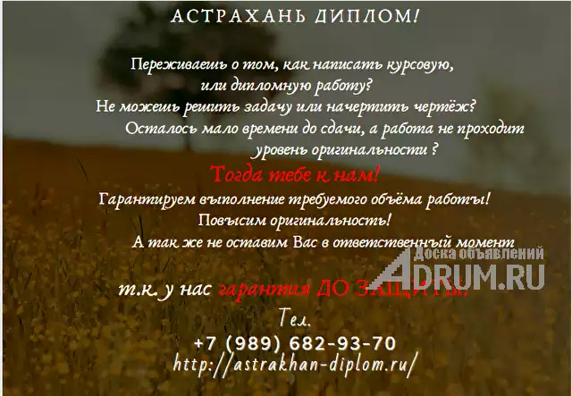 Диплом на заказ в астрахани в Астрахань