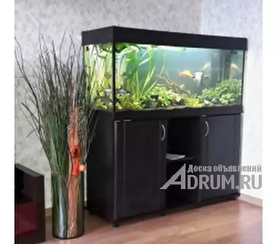 ZelAqua магазин аквариумов и террариумов в Москве, Москва