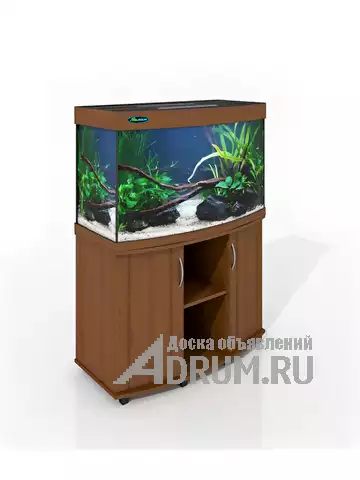 ZelAqua магазин аквариумов и террариумов в Москве в Москвe, фото 3