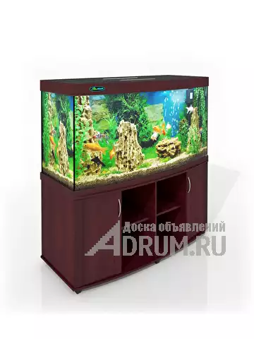 ZelAqua магазин аквариумов и террариумов в Москве в Москвe, фото 4